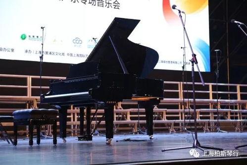 国产上海钢琴视频