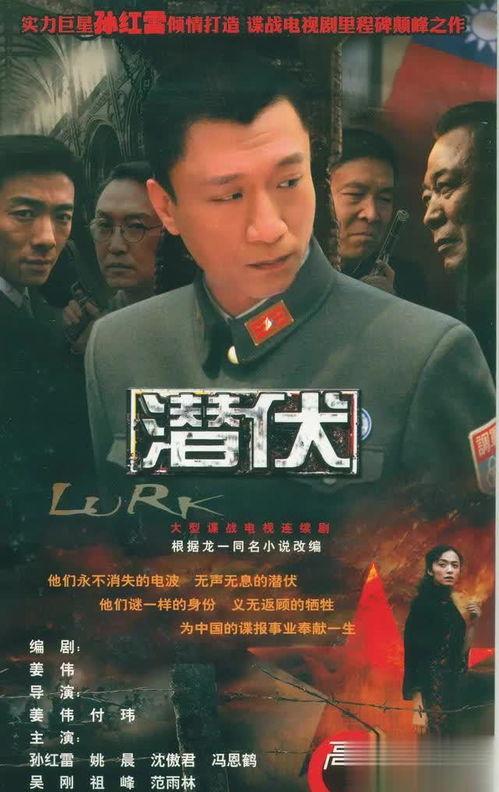 中国国产经典视频,传承与创新的艺术之旅